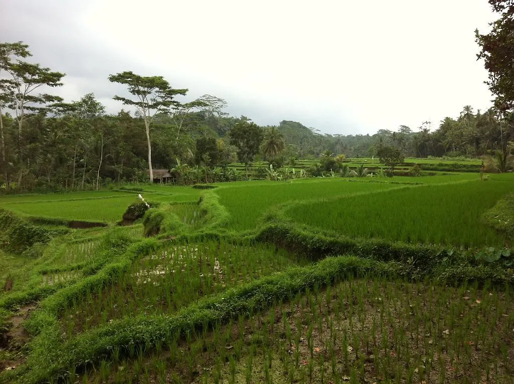 Villa Kelusa Ubud