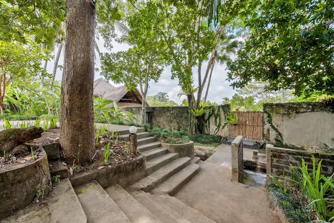 Villa Kelusa Ubud  0*, Ubud (Bali)