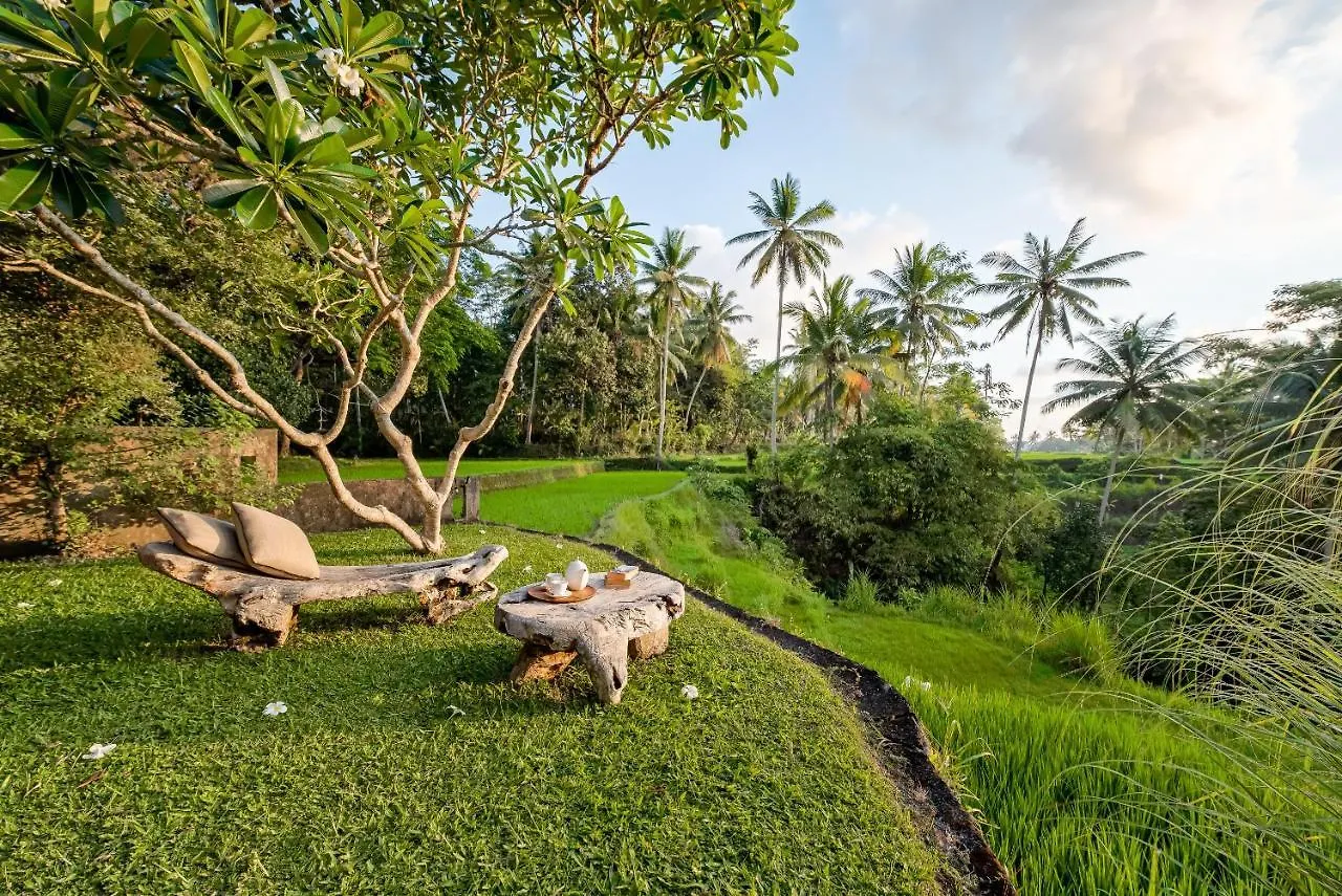 Villa Kelusa Ubud  0*, Ubud (Bali) Indonesia